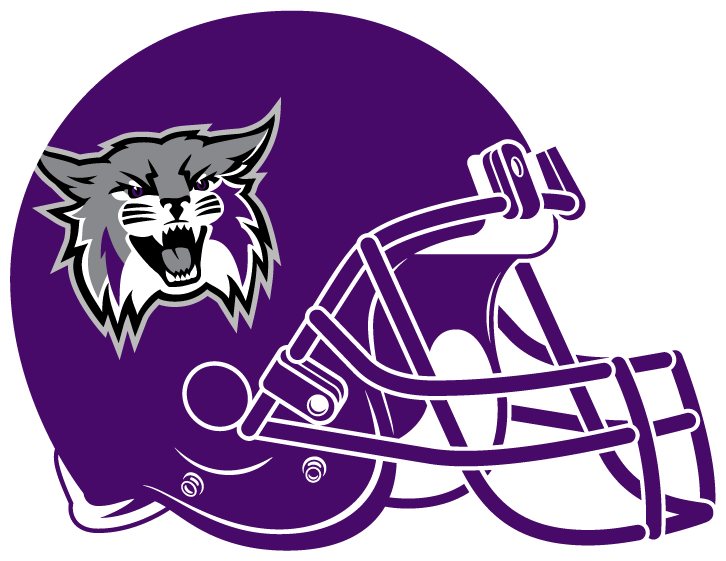 Weber State Wildcats 2012-Pres Helmet diy DTF decal sticker